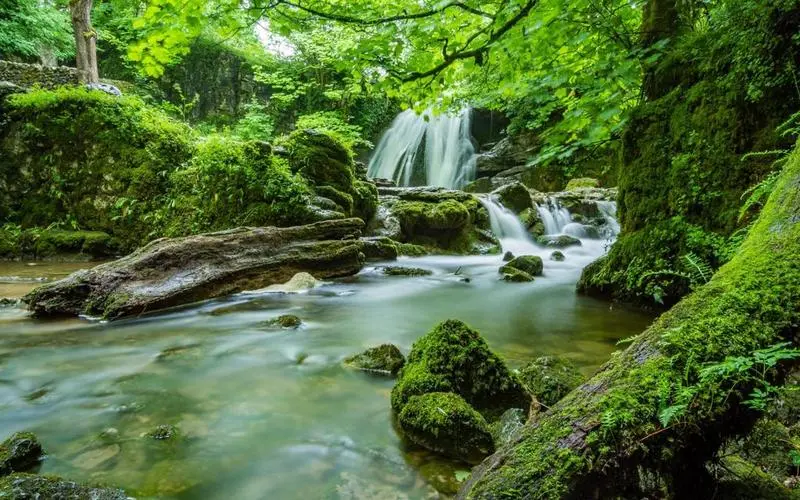 信息化高质量